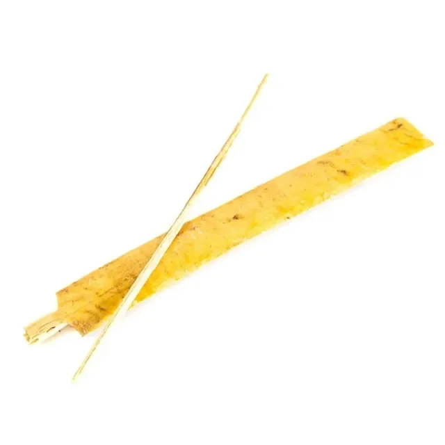 Kambo Stick — секрет Phyllomedusa bicolor